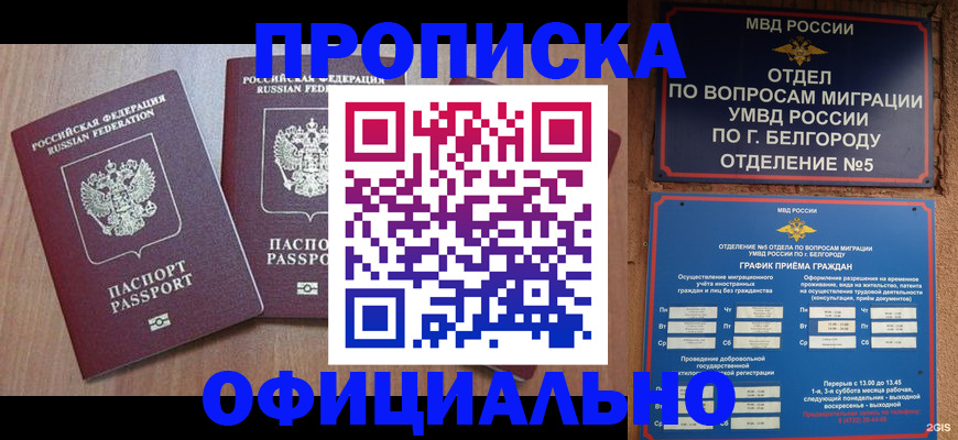 найти адрес прописки в Химках